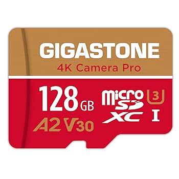 トトロ308805-DS2 国家検定合格品（DS2）10枚入り×6 microSDXC｜メモリーカード - Nextorage